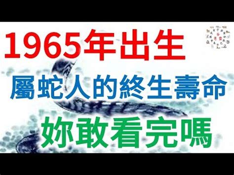 1965 蛇|1965年属什么生肖 